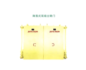 甘肃降落式双扇立转门